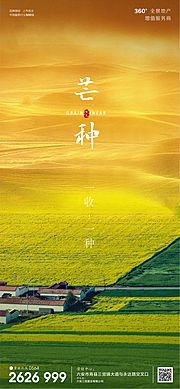 素材乐-房地产芒种节气微信海报