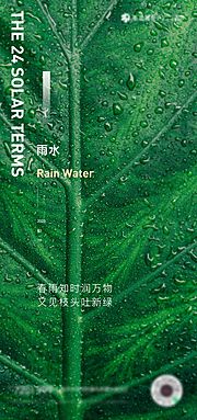 素材乐-雨水节气春季海报