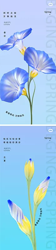 仙图网-春分24节气喇叭花植物海报