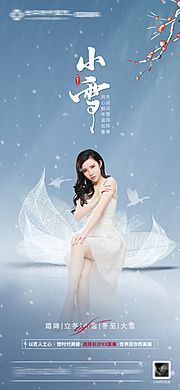 素材乐-小雪医美节气海报