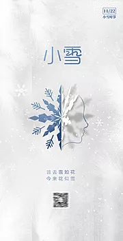 仙图网-医美小雪节气海报