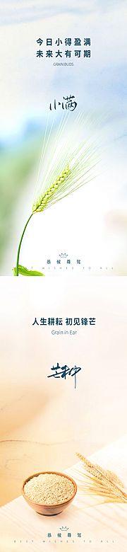 素材乐-小满芒种