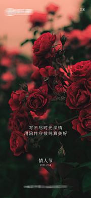 素材乐-七夕情人节海报