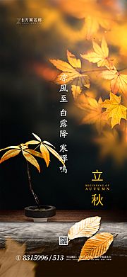 素材乐-地产立秋节气海报