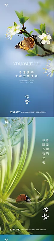 仙图网-惊蛰节气海报