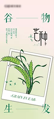 仙图网-芒种节气海报