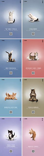 素材乐-猫咪瑜伽惊蛰创意海报