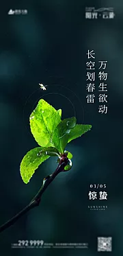 仙图网-惊蛰节气海报