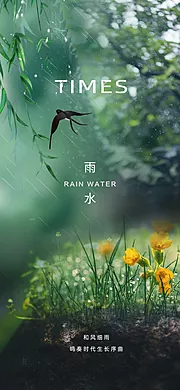 仙图网-雨水海报