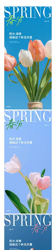 仙图网-春分节气系列海报