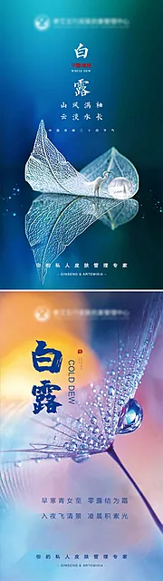 仙图网-二十四节气白露海报