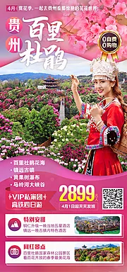 仙图网-贵州百里杜鹃旅游海报