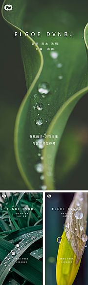 素材乐-雨水谷雨清明白露寒露系列海报