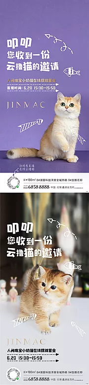 仙图网-猫直播简约系列海报