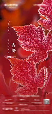 仙图网-霜降节气海报