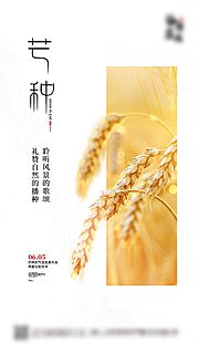 素材乐-芒种节气海报