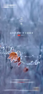 仙图网-立冬节气海报