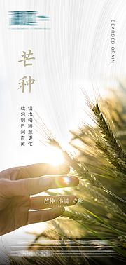 仙图网-芒种节气海报