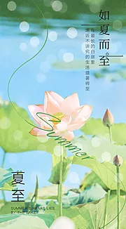 仙图网-夏至节气海报