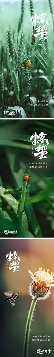 素材乐-惊蛰节气海报