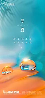 仙图网-地产寒露节气海报