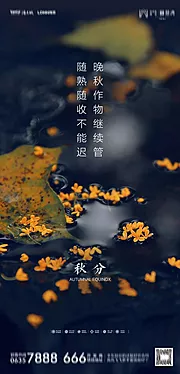 仙图网-地产秋分海报