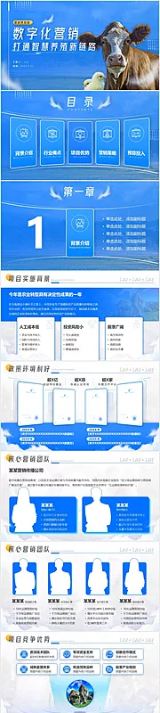 仙图网-蓝色互联网数字化营销策划案PPT