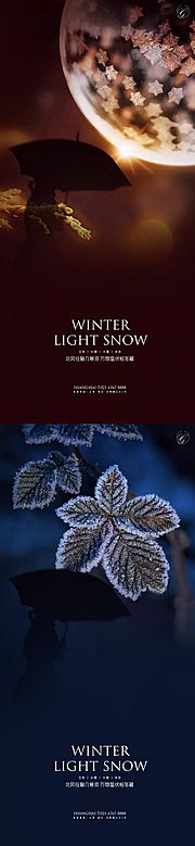 素材乐-立冬小雪大雪冬至冰花系列海报