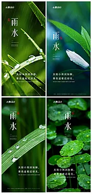 仙图网-雨水系列