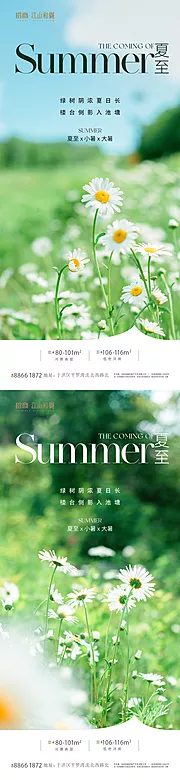 仙图网-夏至