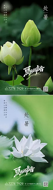 仙图网-处暑节气海报