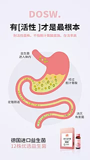 仙图网-益生菌酵素减肥塑身肠道圈图海报