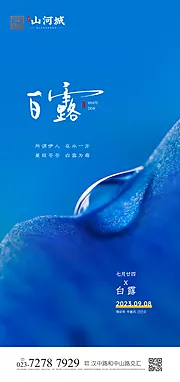 仙图网-白露节气海报