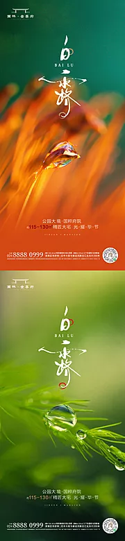 仙图网-白露