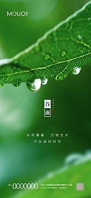 素材乐-谷雨节气海报