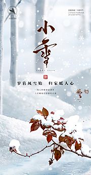 素材乐-小雪节气海报