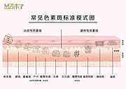 仙图网-常见色素斑标准模式图