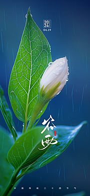 素材乐-谷雨节气海报