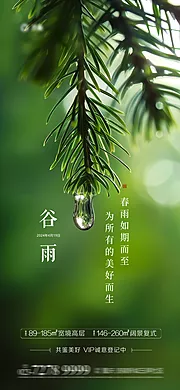 仙图网-谷雨节气海报