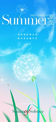 仙图网-地产美业夏至节气海报