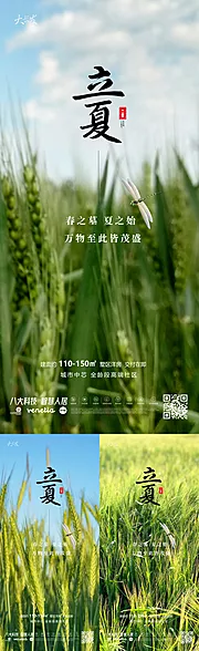 仙图网-立夏系列海报