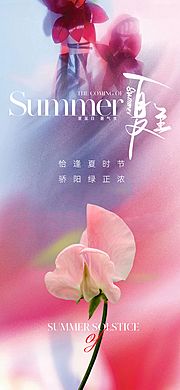 仙图网-地产美业夏至节气海报