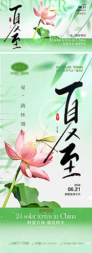 仙图网-夏至节气海报