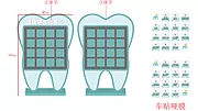 仙图网-牙齿问题造型尺寸