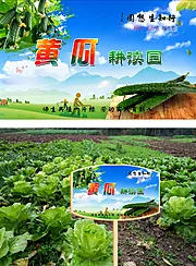 仙图网-校园蔬菜黄瓜花草牌耕读园学校