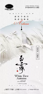 仙图网-白露节气海报