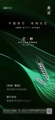 仙图网-芒种节气海报