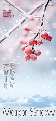 仙图网-大雪节气海报