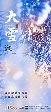 仙图网-大雪节气海报