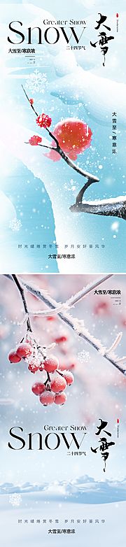 仙图网-地产美业大雪节气海报